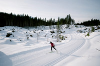 Kathi Millazi Langlaufen Winter Dobratsch 2020